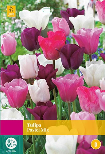 Tulipa Pastel mix bloembollen 15 bollen Tulp JUB - Jub