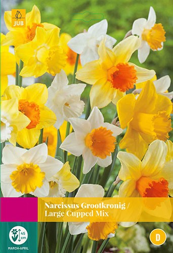 Narcissus Grootkronig mix bloembollen 15 bollen Narcis JUB - Jub