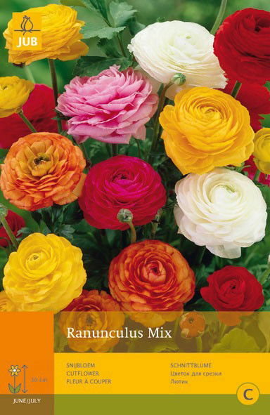 https://cdn.warentuin.nl/media/catalog/product/1/7/1778712438626203_jub_ranunculus_mix_10st_bloembol_zomer_jub_4753.jpg