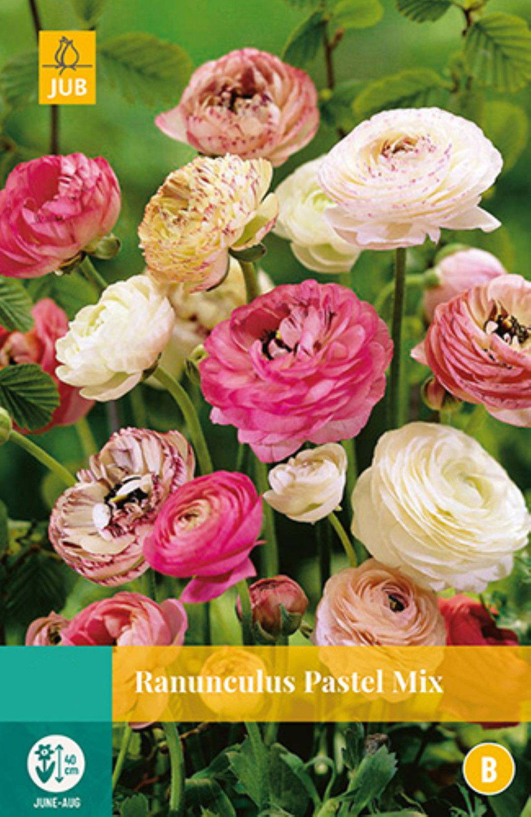 Jub Ranunculus Pastel Mix 7 bollen - 