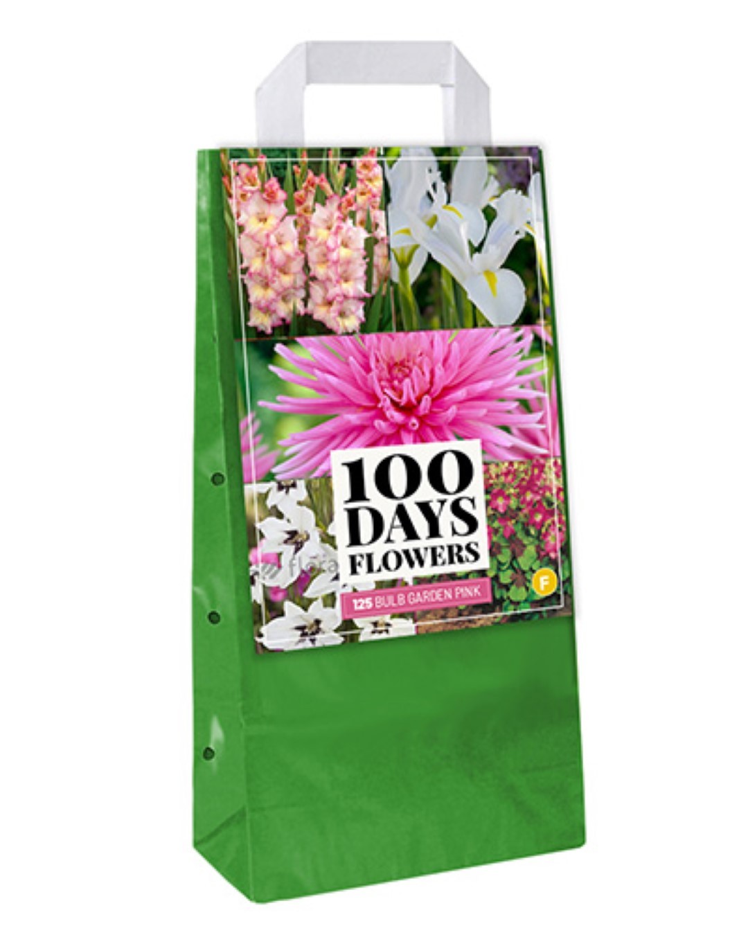 https://cdn.warentuin.nl/media/catalog/product/1/7/1778712438721151_jub_bloembollen_bloembollen_bulb_garden_pink__d520.jpg