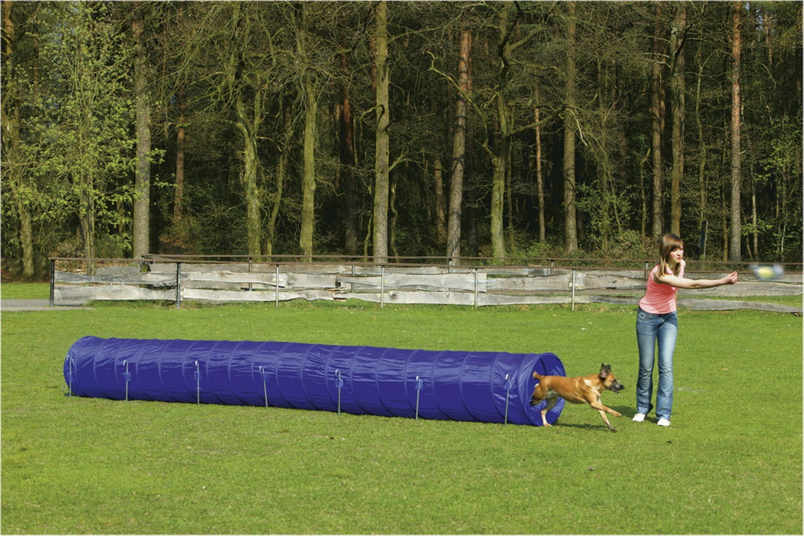 https://cdn.warentuin.nl/media/catalog/product/1/7/1778712695169536_beeztees_hondenspeelgoed_beeztees_agility_tunnel_large_525x60x_421d.jpg