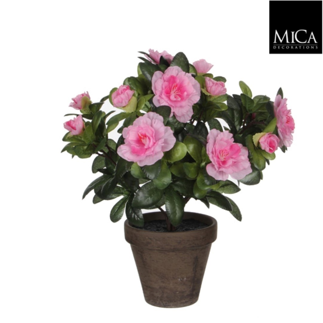 https://cdn.warentuin.nl/media/catalog/product/1/7/1778712799859227_mica_decorations_nepplant_azalea_roze_in_pot_stan_grijs_d11_5__a071.jpg