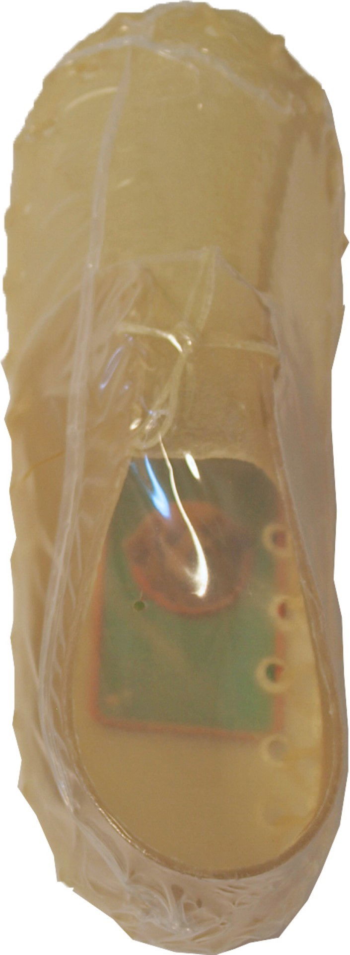 https://cdn.warentuin.nl/media/catalog/product/1/7/1778712901010454_boon_kauwplezier_dierenaccessoires_kauwschoen_groot_met_label__9bda.jpg
