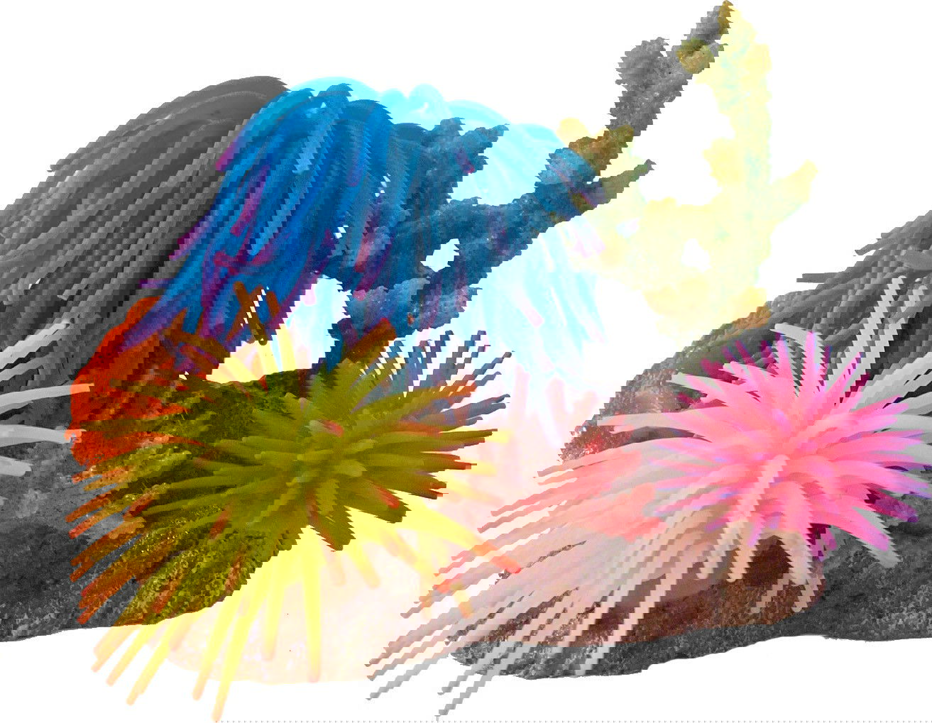 https://cdn.warentuin.nl/media/catalog/product/1/7/1778712901053710_gebr_de_boon_dierbenodigdheden_siliconenbloem_3x_met_rots_en_s_6ff7.jpg