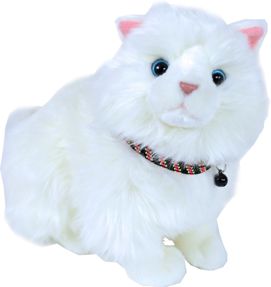 https://cdn.warentuin.nl/media/catalog/product/1/7/1778712901070069_boon_kitten_en_kattenhalsbanden_dierenaccessoires_kattenhalsba_ac92.jpg