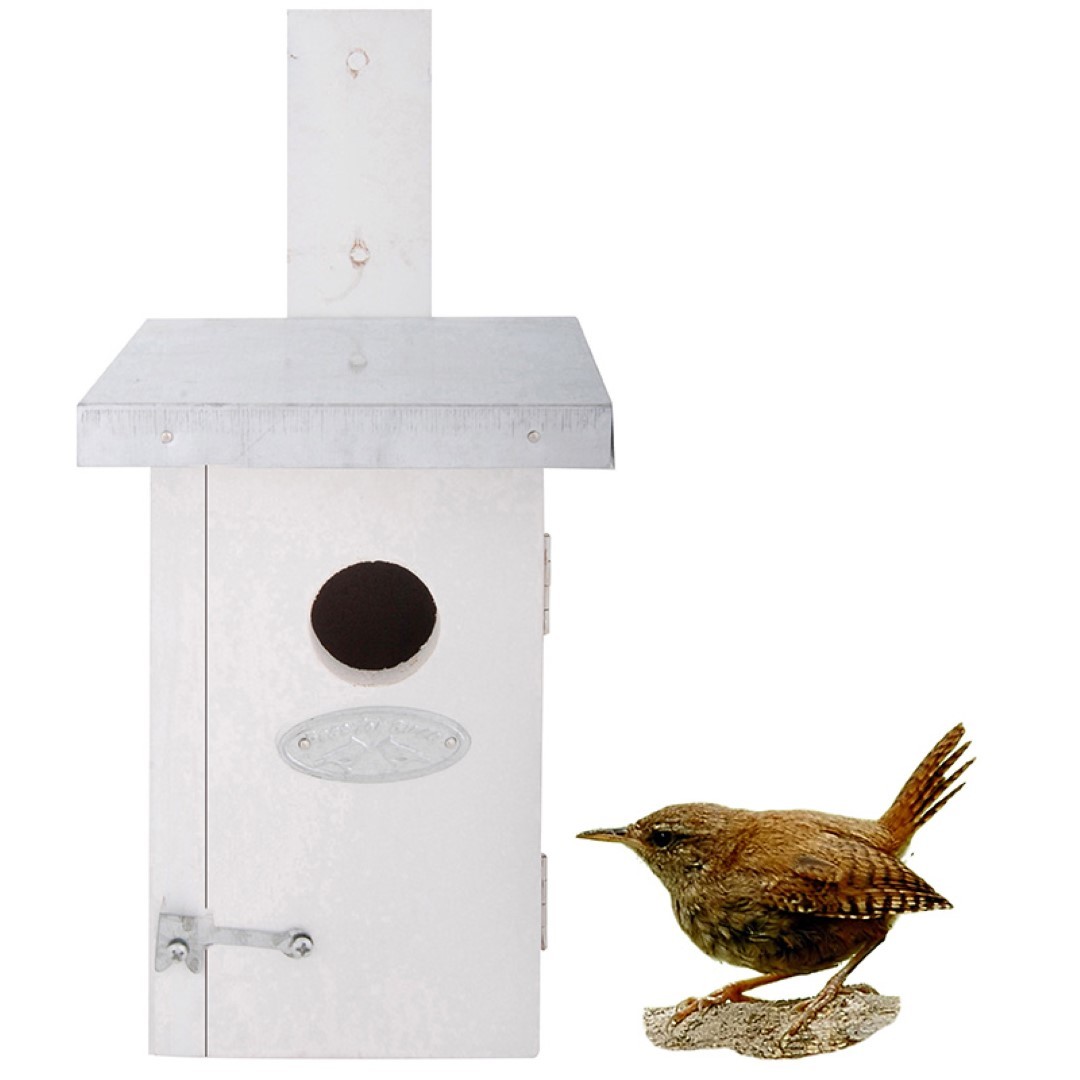 https://cdn.warentuin.nl/media/catalog/product/1/7/1778714982054051_best_for_birds_vogelvoeder_nestkast_winterkoning_wit_best_for__9e94.jpg