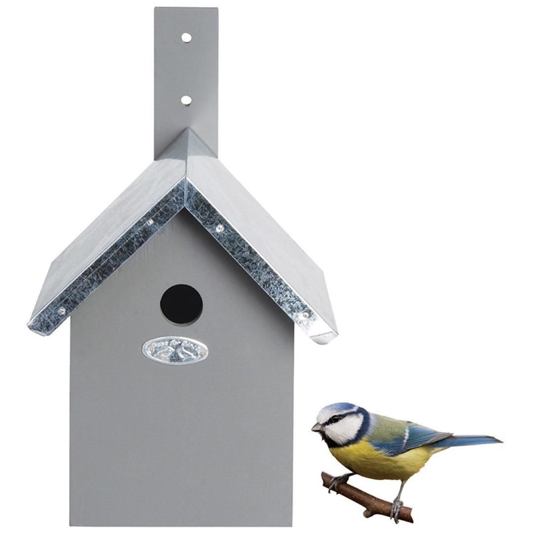https://cdn.warentuin.nl/media/catalog/product/1/7/1778714982054471_best_for_birds_vogelvoeder_nestkast_pimpelmees_grijs_best_for__4d35.jpg