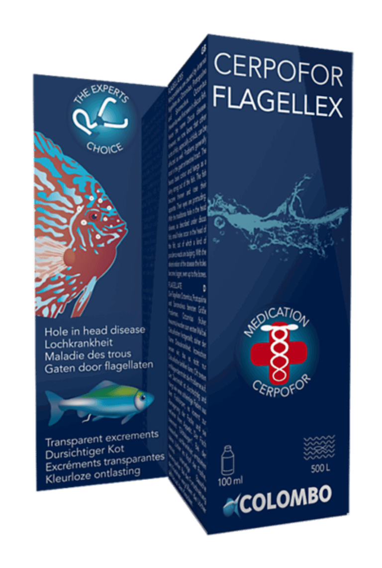 Cerpofor Flagellex 100 Ml-500 Liter vijver - Superfish