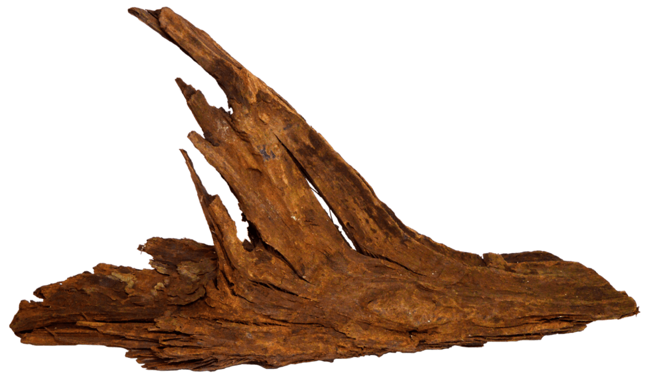 https://cdn.warentuin.nl/media/catalog/product/1/7/1778715897031090_aquadistri_aquarium_accessoire_driftwood_ss_b881.png