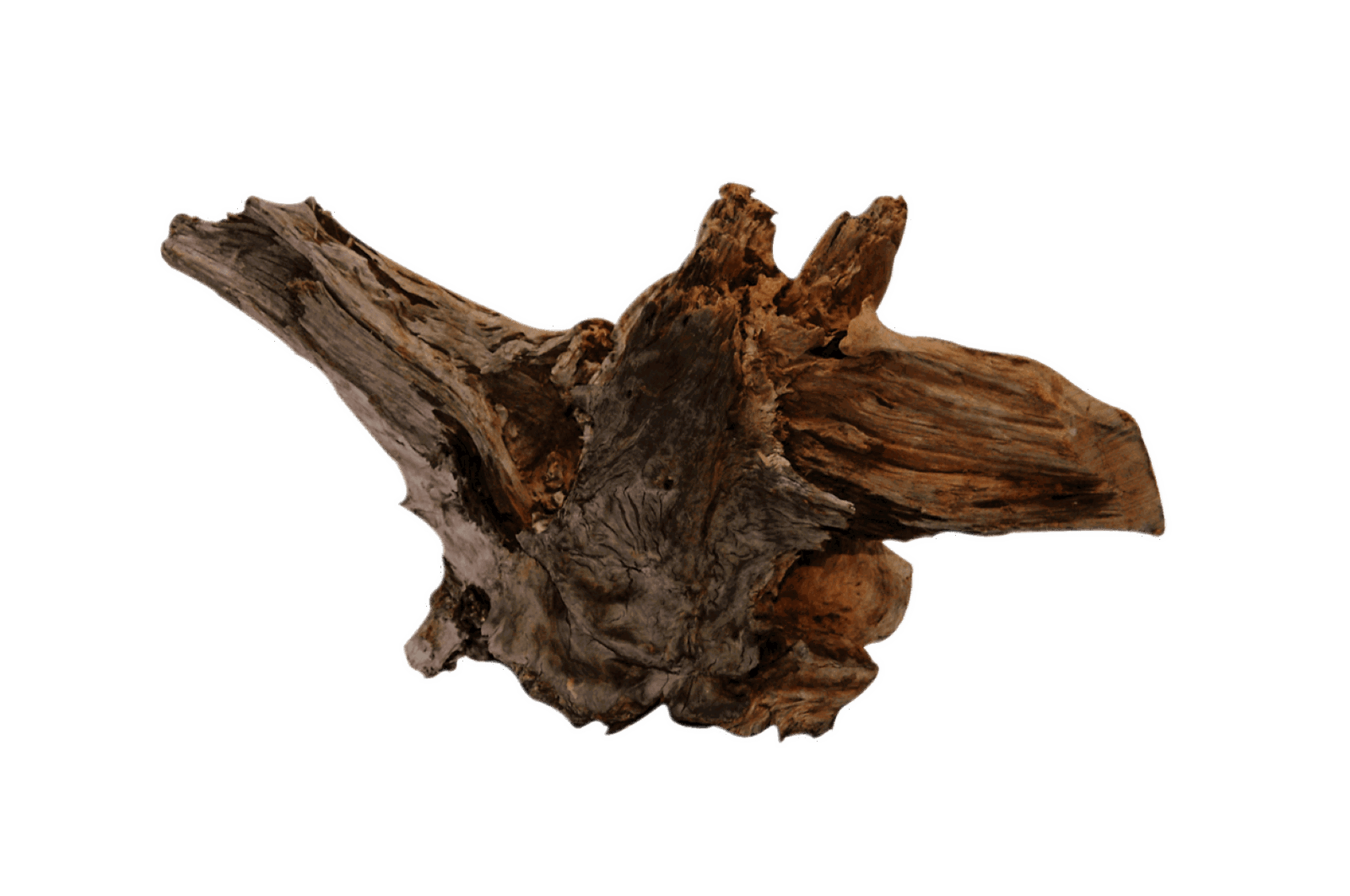 https://cdn.warentuin.nl/media/catalog/product/1/7/1778715897031137_aquadistri_aquarium_accessoire_driftwood_xl_8e3e.png