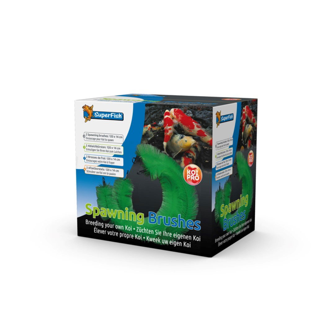 https://cdn.warentuin.nl/media/catalog/product/1/7/1778715897033971_aquadistri_aquarium_accessoire_kp_afzetborstel_in_doos_2_stuks_d8e5.jpg