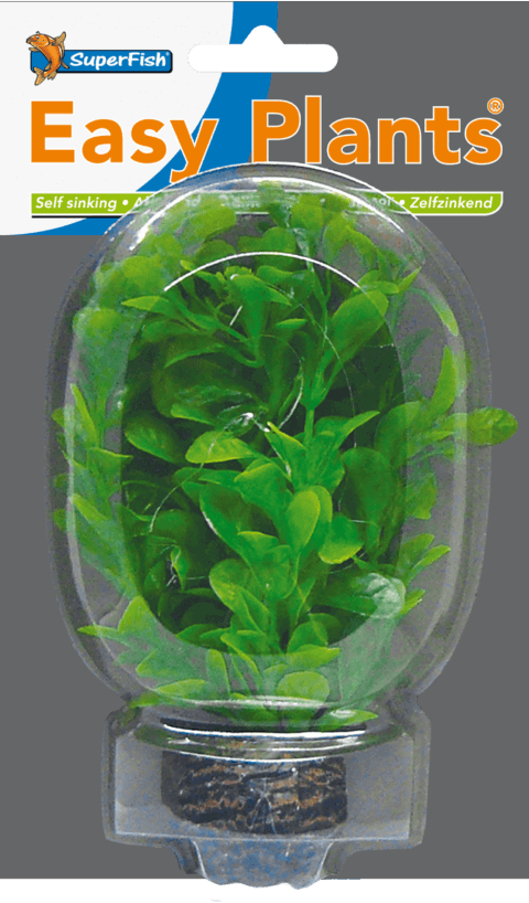 Superfish easy plant laag 13 cm nr. 8 SuperFish