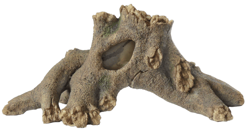 https://cdn.warentuin.nl/media/catalog/product/1/7/1778715897222962_superfish_aquarium_accessoire_superfish_tree_wortel_l_1_c7dc.png