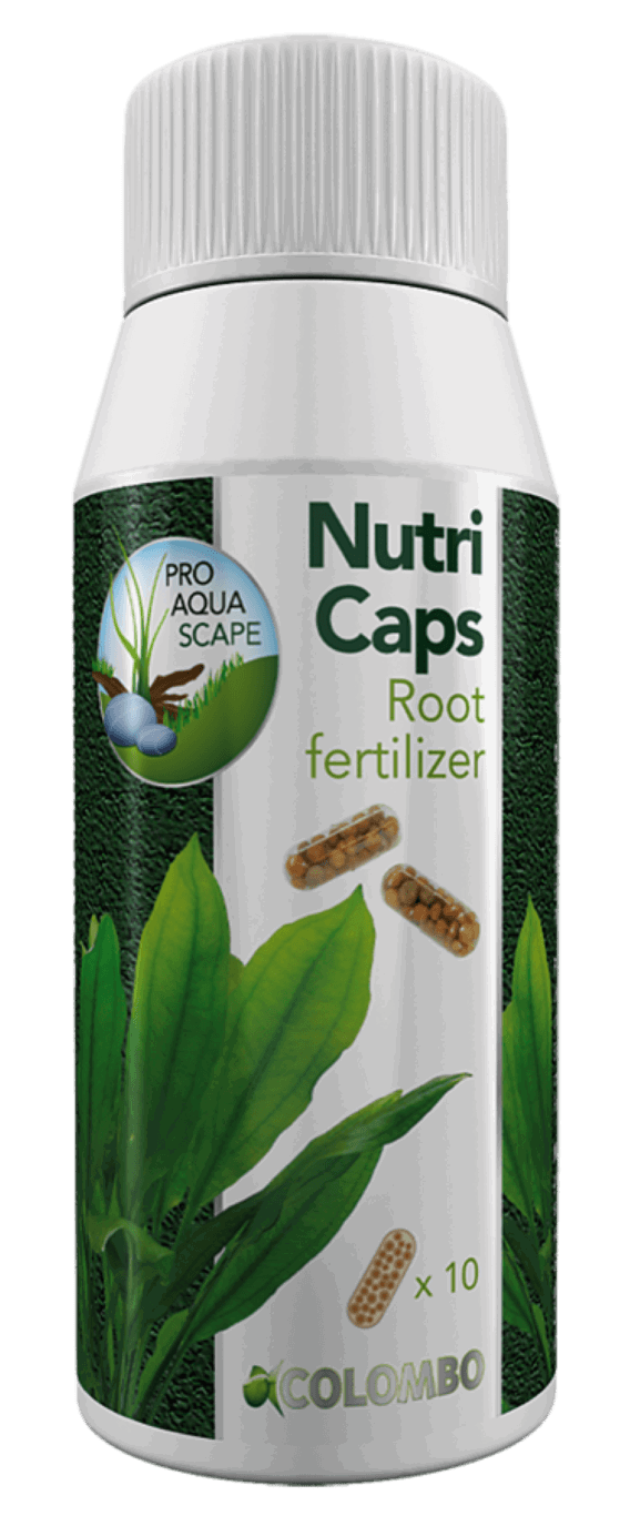 Flora nutri caps 10x Colombo