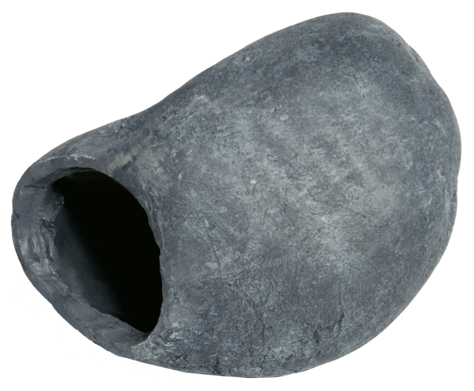 Superfish fish cave 1 - SuperFish