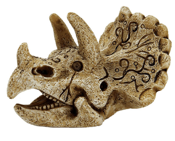 https://cdn.warentuin.nl/media/catalog/product/1/7/1778715897291128_superfish_aquarium_accessoire_superfish_skull_triceratops_s_ce13.png