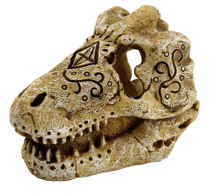 https://cdn.warentuin.nl/media/catalog/product/1/7/1778715897291135_superfish_aquarium_accessoire_superfish_skull_t_rex_s_8a01.png