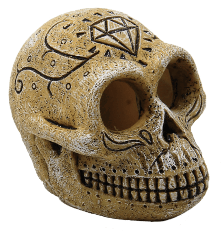https://cdn.warentuin.nl/media/catalog/product/1/7/1778715897291142_superfish_aquarium_accessoire_superfish_skull_monkey_684c.png