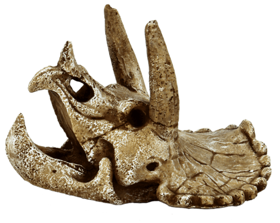 https://cdn.warentuin.nl/media/catalog/product/1/7/1778715897291159_superfish_aquarium_accessoire_superfish_skull_triceratops_m_85eb.png