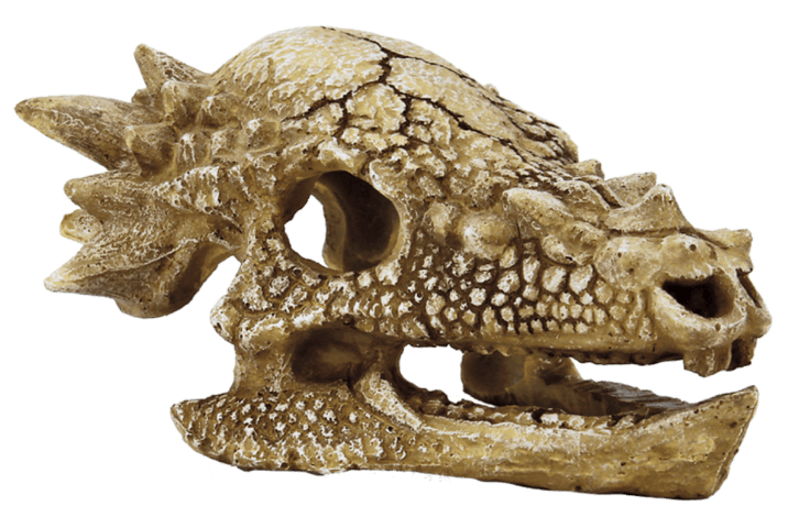 https://cdn.warentuin.nl/media/catalog/product/1/7/1778715897291166_superfish_aquarium_accessoire_superfish_skull_t_rex_m_0c07.png