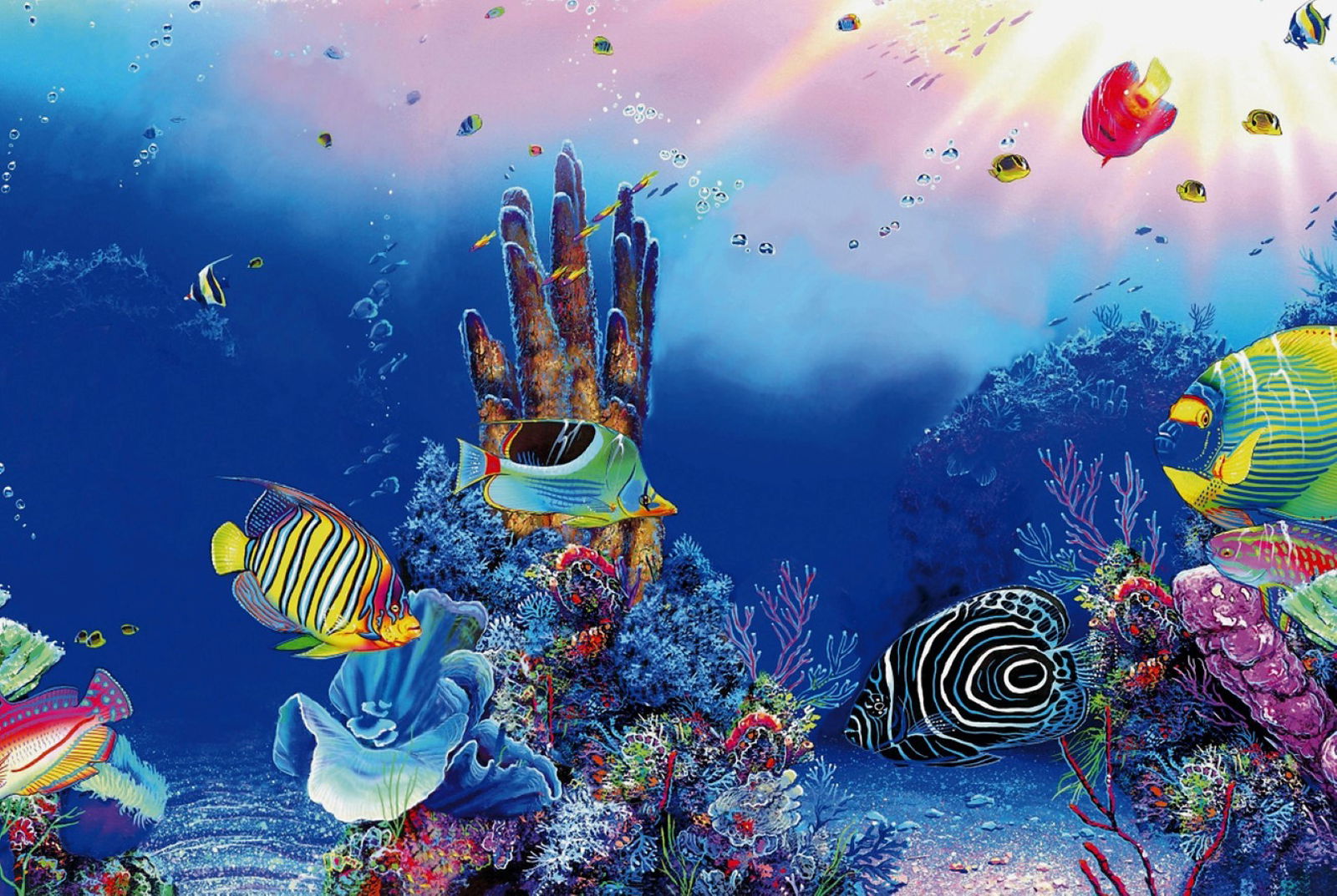 Superfish deco poster f1 60x30 cm - Superfish
