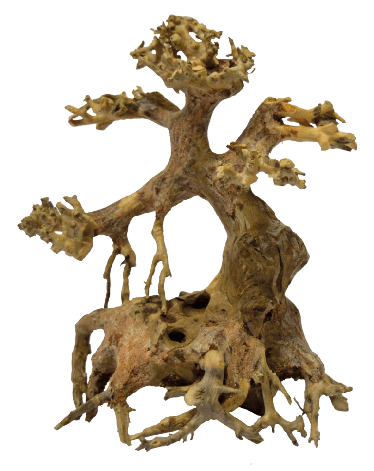 https://cdn.warentuin.nl/media/catalog/product/1/7/1778715897304248_aquadistri_aquarium_accessoire_bonsai_driftwood_xs_a4f6.png