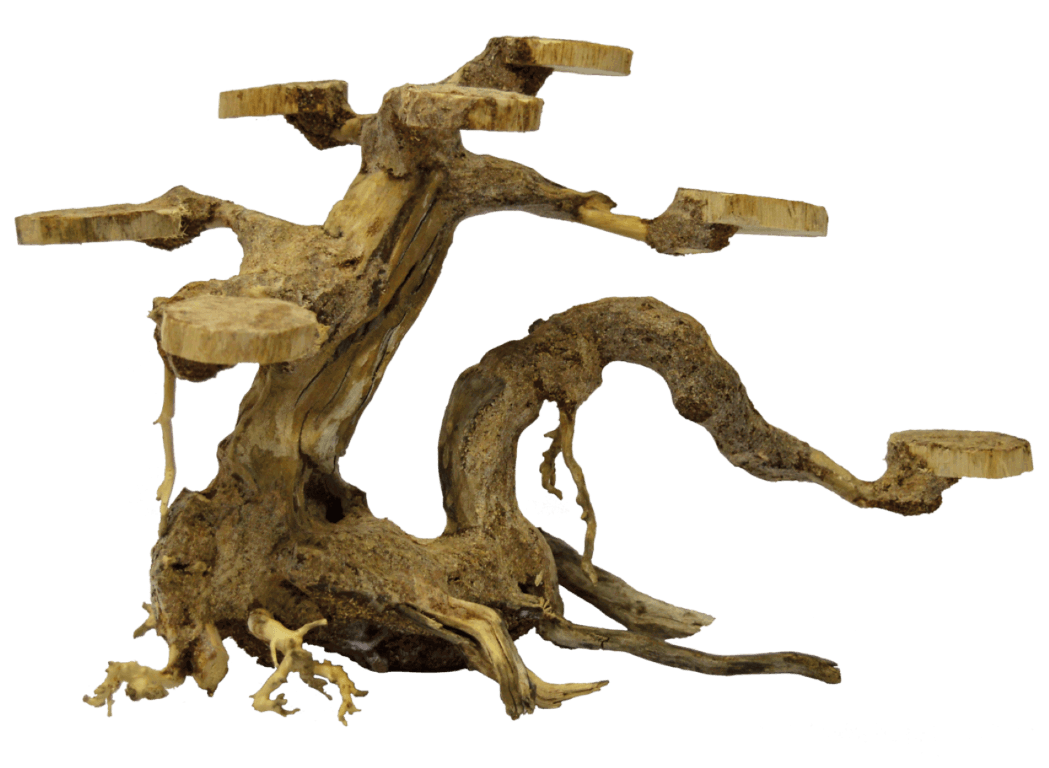 https://cdn.warentuin.nl/media/catalog/product/1/7/1778715897304255_aquadistri_aquarium_accessoire_bonsai_planter_small_2ecb.png