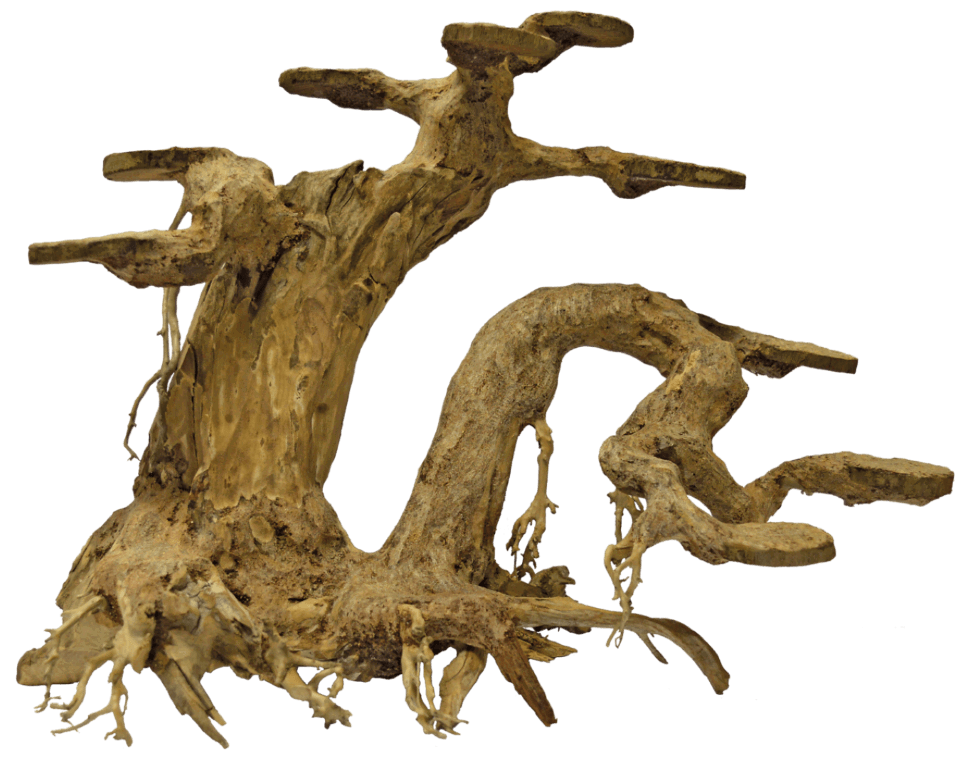 https://cdn.warentuin.nl/media/catalog/product/1/7/1778715897304279_aquadistri_aquarium_accessoire_bonsai_planter_large_45c8.png