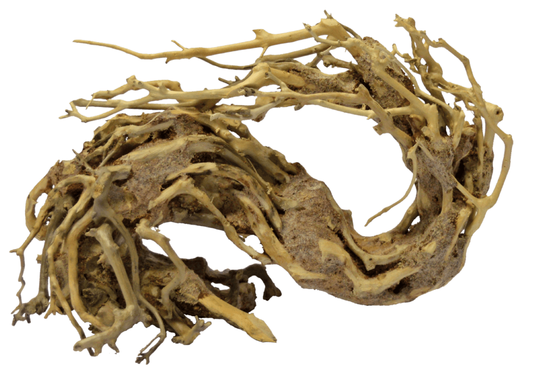 https://cdn.warentuin.nl/media/catalog/product/1/7/1778715897304286_aquadistri_aquarium_accessoire_bonsai_wave_small_72f8.png