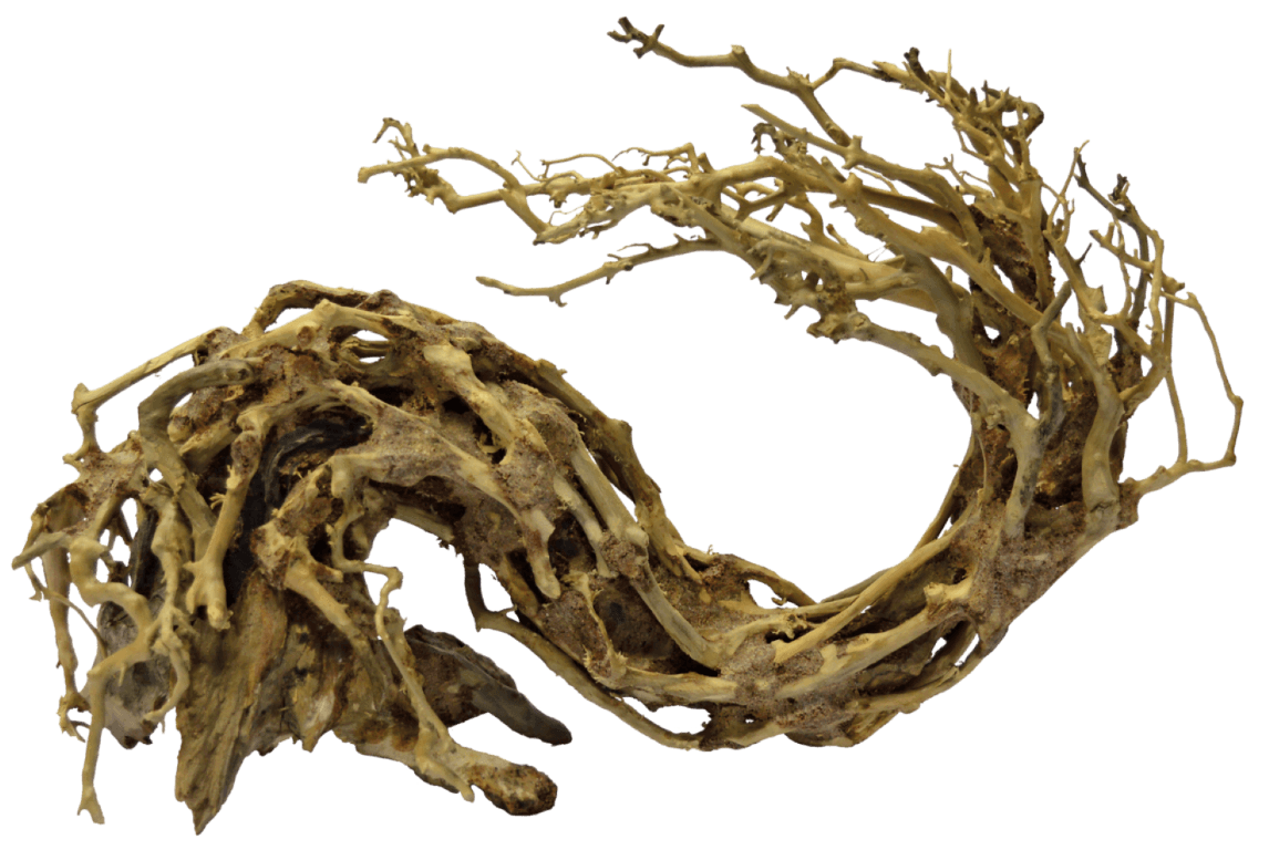 https://cdn.warentuin.nl/media/catalog/product/1/7/1778715897304309_aquadistri_aquarium_accessoire_bonsai_wave_large_b101.png
