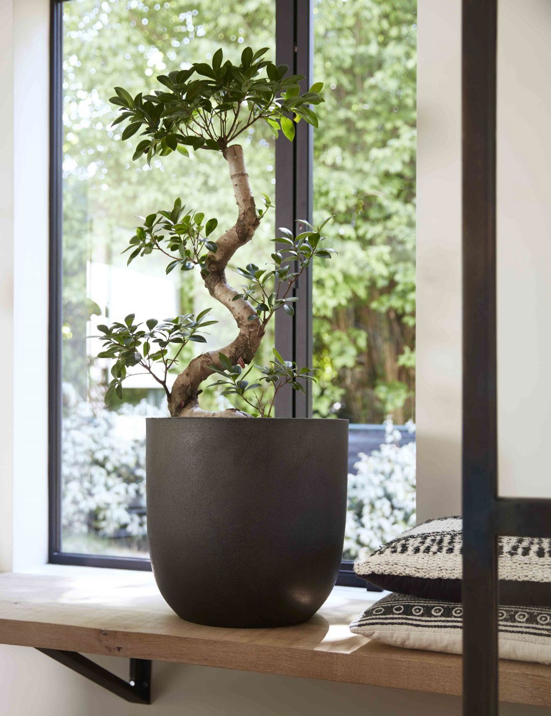 https://cdn.warentuin.nl/media/catalog/product/1/7/1778716443037757_2_capi_europe_potterie_pot_bol_iii_43x41_zwart_capi_tutch_1_8219.jpg
