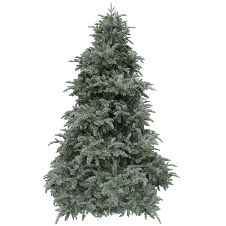 Abies Nordmann kunstkerstboom deluxe forest blue h185 d135 cm Triumph Tree - Triumph tree