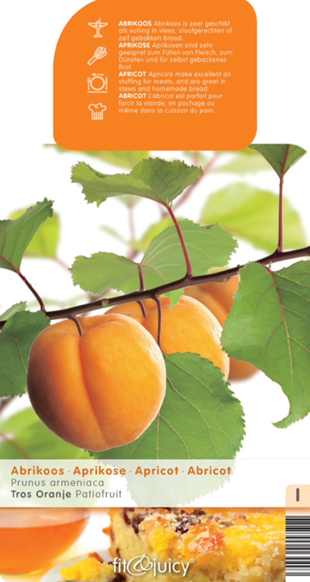 https://cdn.warentuin.nl/media/catalog/product/1/7/1778717755064493_9_fruithof_patio_fruitboom_prunus_armeniaca_abrikoos_patio_1_ef4c.jpg