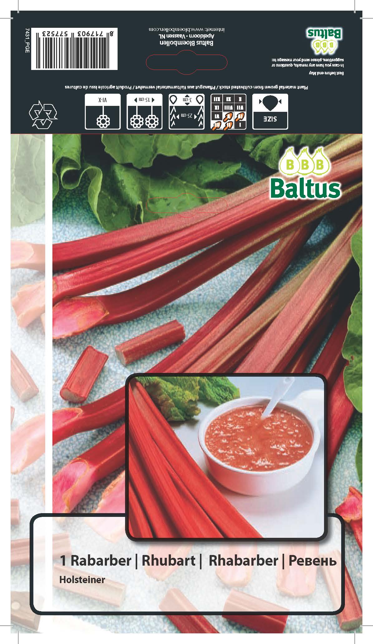 https://cdn.warentuin.nl/media/catalog/product/1/7/1778717903577431_baltus_bloembollen_rabarber_per_1_2413.jpg