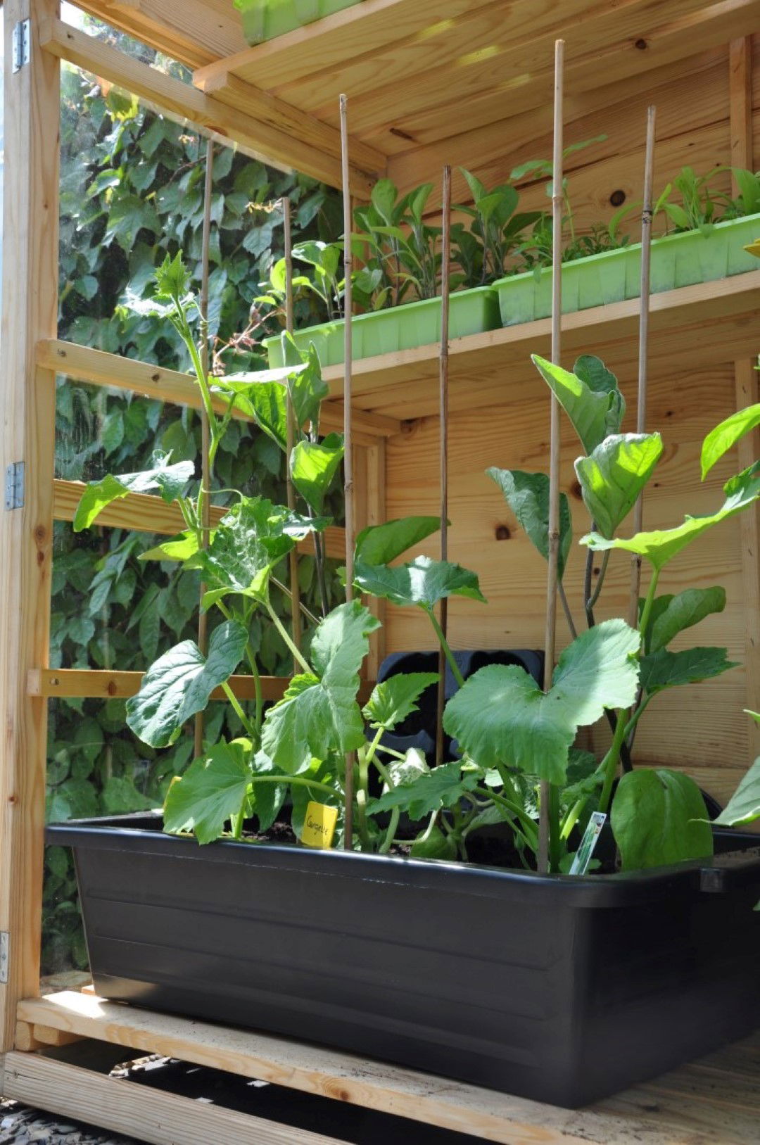 3 stuks! Maxi Container 40 L - Slim Kweken