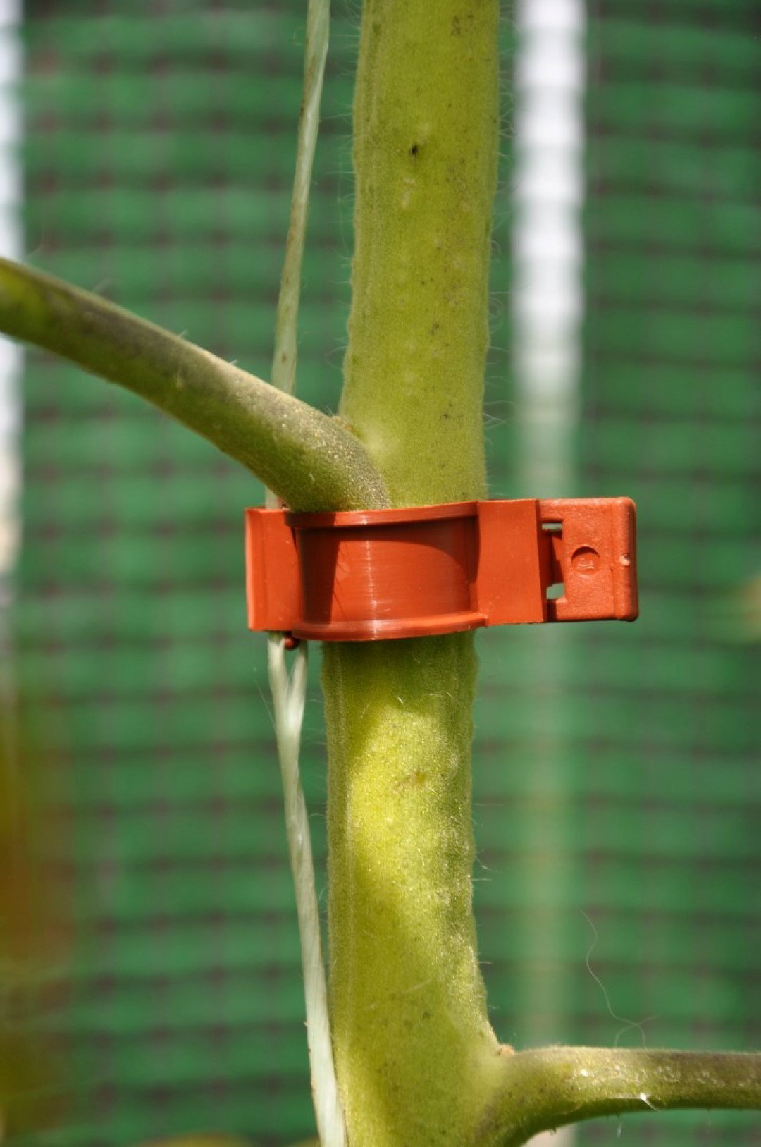 https://cdn.warentuin.nl/media/catalog/product/1/7/1778718226338426_2_royal_well_accessoire_tomatenclips_kunststof_20_st_28a3.jpg