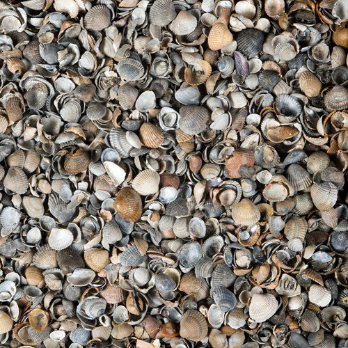 https://cdn.warentuin.nl/media/catalog/product/1/7/1778718247590971_gardenlux_zand_schelpen_bruin_grijs_8_16_mm_mbb_500_kg_2_fb21.jpg