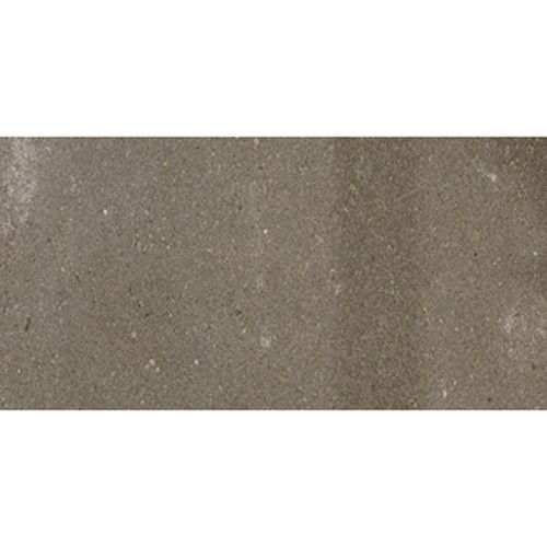 https://cdn.warentuin.nl/media/catalog/product/1/7/1778718247595808_gardenlux_betontegels_met_facet_betontegel_grijs_15x30x4_5_cm_bcdf.jpg
