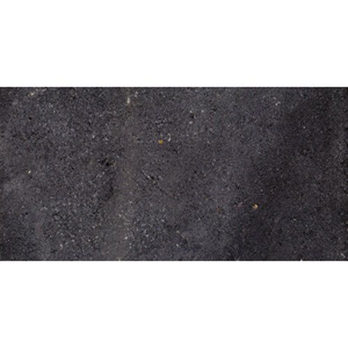 https://cdn.warentuin.nl/media/catalog/product/1/7/1778718247595822_gardenlux_gestraald_en_gecoate_tegels_betontegel_zwart_15x30x4_496c.jpg
