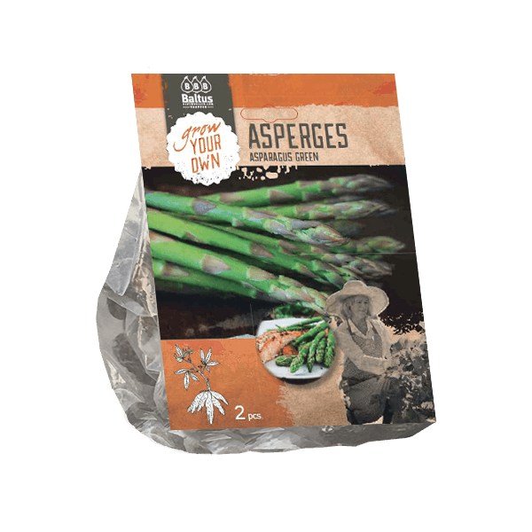 https://cdn.warentuin.nl/media/catalog/product/1/7/1778718546134968_baltus_bloembol_asparagus_groen_bloembollen_baltus_22a8.png