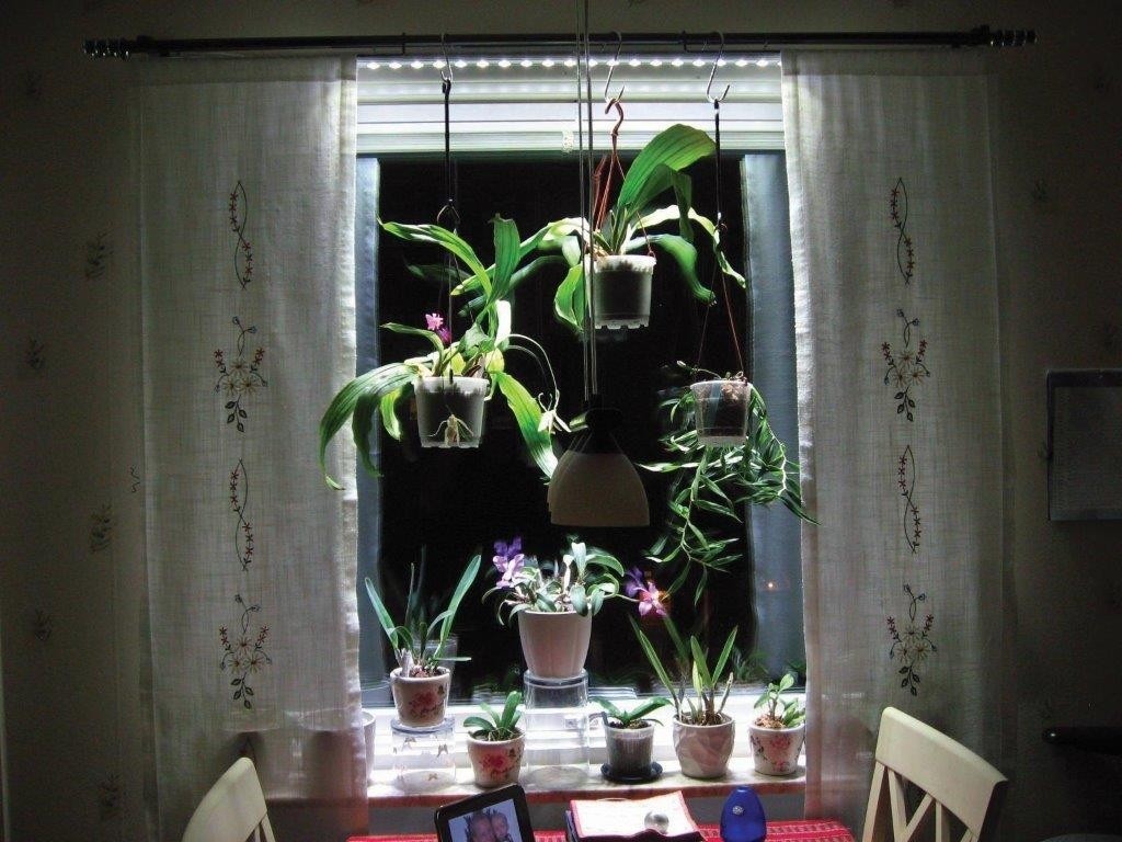 https://cdn.warentuin.nl/media/catalog/product/1/7/1778719189208351_2_btt_kweeklamp_parus_linear_langwerpige_kweeklamp_led_wit_30__3af4.jpg