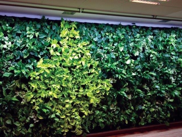 https://cdn.warentuin.nl/media/catalog/product/1/7/1778719189208399_btt_kweeklamp_parus_linear_langwerpige_kweeklamp_led_wit_60_30_d520.jpg