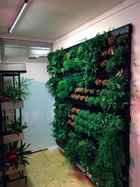 Parus Linear langwerpige kweeklamp led living wall 120 graden 20w 60cm BTT