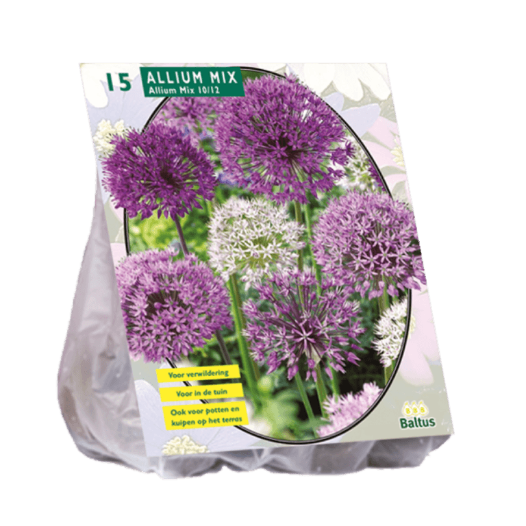 Allium Mix Paars-Wit per 15 Baltus - Baltus