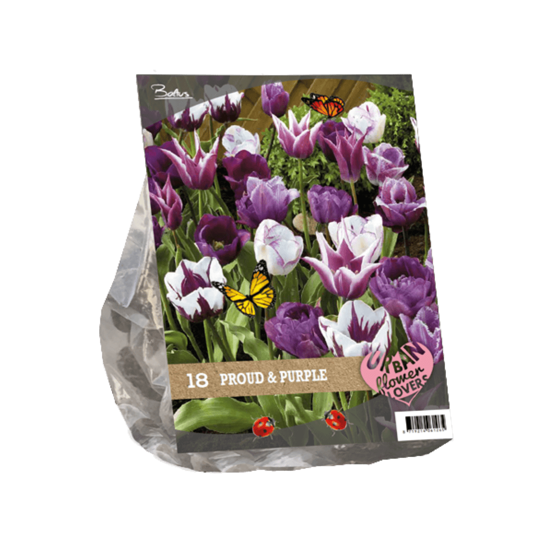 Urban Flowers - Proud & Purple per 18 Baltus - Baltus