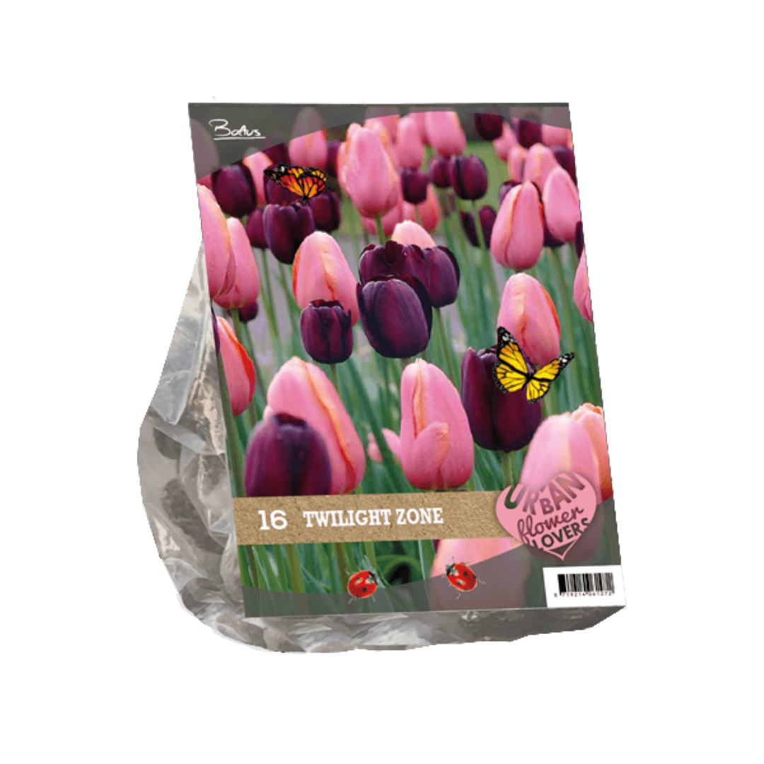 Urban Flowers - Twilight zone per 16 Baltus - Baltus