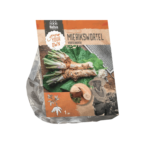 https://cdn.warentuin.nl/media/catalog/product/1/7/1778719214062446_baltus_bloembol_mierikswortel_bloembol_baltus_d0d8.png