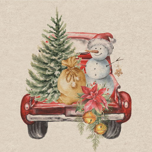 Servet l33x33 cm car snowman 20st - Duni