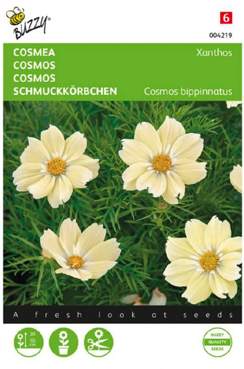 Zaden cosmos cosmea xanthos 10 zaden Buzzy